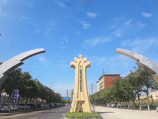 河北冀衡藥業股份有限公司年產700噸乳...